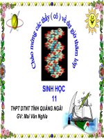 thuyết trình sinh học - hô hấp ở động vật. (3)