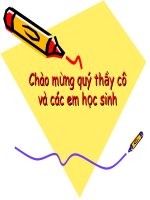 thuyết trình sinh học - tiêu hoá ở động vật (11)