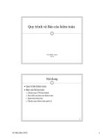 Quy trình và Báo cáo kiểm toán