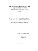 đề tài sản phẩm saccharose - luận văn, đồ án, đề tài tốt nghiệp