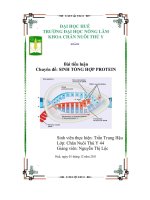 chuyên đề sinh tổng hợp protein - luận văn, đồ án, đề tài tốt nghiệp