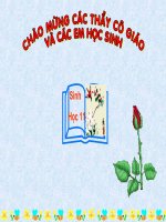 thuyết trình sinh học - tiêu hoá ở động vật (10)