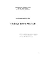 tinh bột trong ngũ cốc - luận văn, đồ án, đề tài tốt nghiệp