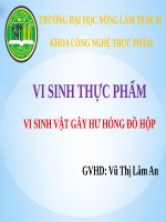 vi sinh vật gây hư hỏng đồ hộp