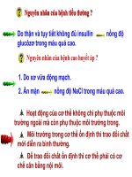 thuyết trình sinh học - cân bằng nội môi (4)