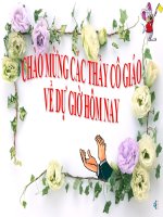 thuyết trình sinh học - vận chuyển các chất trong thân