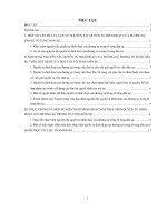 Tiểu luận Quyền tự định đoạt của đương sự trong tố tụng dân sự theo quy định của bộ luật tố tụng dân sự