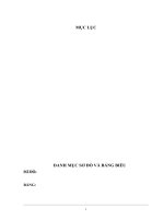 thực trạng hoạt động nhập khẩu mặt hàng nhựa tại công ty cổ phần xuất nhập khẩu tạp phẩm