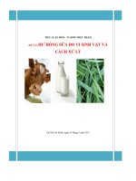 đề tài vi sinh vật làm hỏng sữa - luận văn, đồ án, đề tài tốt nghiệp