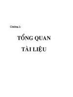luận văn phân lập, định danh và tuyển chọn các chủng entirococcus có tiềm năng probiotic từ phân trẻ sơ sinh - luận văn, đồ án, đề tài tốt nghiệp