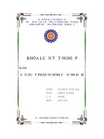 đề tài sản xuất phân vi sinh cố định đạm - luận văn, đồ án, đề tài tốt nghiệp