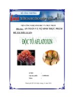 độc tố aflatoxin an toàn và vệ sinh thực phẩm - luận văn, đồ án, đề tài tốt nghiệp