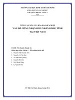 TIỂU LUẬN MÔN VĂN HÓA DOANH NGHIỆP VẤN ĐỀ CÔNG NHẬN HÔN NHÂN ĐỒNG TÍNH TẠI VIỆT NAM