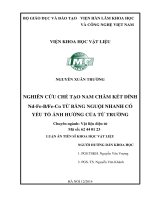 Nghiên cứu chế tạo nam châm kết dính Nd-Fe-B/Fe-Co từ băng nguội nhanh có yếu tố ảnh hưởng của từ trường