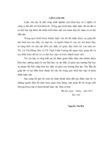 nghiên cứu cấu trúc một số phức chất của zn(ii). cd(ii), pd(ii) với phối tử là dẫn xuất của quinolin bằng phương pháp chiếm hàm mật độ và phương pháp phổ