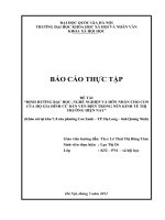 định hướng bậc học, nghề nghiệp, hôn nhân cho con của hộ gia đình cư dân ven biển trong nền kinh tế thị trường hiện nay