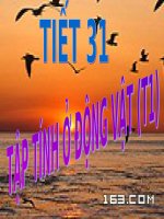 thuyết trình sinh học- tập tính của động vật (5)