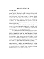 phương pháp cấy tạo trầm trên cây dó bầu - luận văn, đồ án, đề tài tốt nghiệp