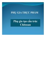 báo cáo phụ gia thực phẩm - phụ gia tạo cấu trúc chitosan - luận văn, đồ án, đề tài tốt nghiệp