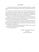 kế toán chi phí sản xuất sản phẩm cám tại công ty cố phẩm japfa comfeed việt nam