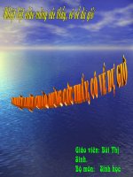 thuyết trình sinh học - tiêu hoá ở động vật (6)