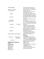 công nghệ sản xuất rượu cồn etylic - luận văn, đồ án, đề tài tốt nghiệp