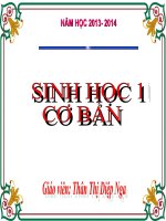 thuyết trình sinh học - hô hấp ở động vật. (4)