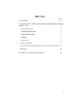 Tiểu luận cách mạng tháng tám 1945