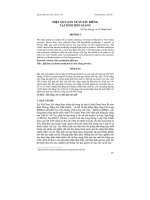 hiệu quả sản xuất sầu riêng tại tỉnh tiền giang - luận văn, đồ án, đề tài tốt nghiệp