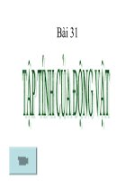 thuyết trình sinh học- tập tính của động vật (8)