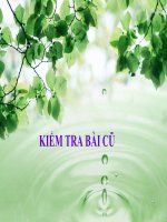 thuyết trình sinh hoc - ứng động (3)