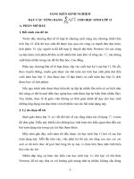 đề tài nhị thức newton