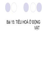 thuyết trình sinh học - tiêu hoá ở động vật (9)