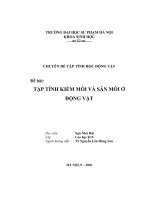 đề tài tập tính kiếm mồi và săn mồi ở động vật - luận văn, đồ án, đề tài tốt nghiệp