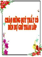 thuyết trình sinh học - vận chuyển các chất trong thân (6)