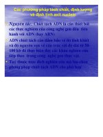 các phương pháp tách chiết, định lượng và định tính axít nucleic - luận văn, đồ án, đề tài tốt nghiệp