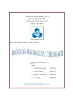 bảo quản đại mạch sau thu hoạch - luận văn, đồ án, đề tài tốt nghiệp