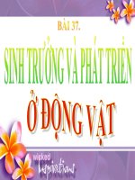 thuyết trình sinh học - sinh trưởng và phát triển ở động vật (3)