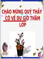 thuyết trình sinh học - cấu tạo ngoài của thân (2)