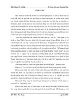 kế toán kết quả kinh doanh tại công ty cổ phần xây dựng và kỹ thuật hạ tầng thành nam