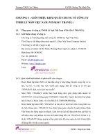 phân tích bctc tại công ty tnhh lý ngô vn