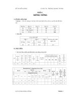 đồ án chuyên ngành xây dựng đề tài nền móng