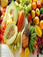 thuyết trình sinh học - cân bằng nội môi (2)