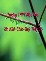 thuyết trình sinh học - thoát hơi nước (3)