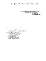 nghiên cứu chế độ dinh dưỡng dành cho phụ nữ có thai và cho con bú - luận văn, đồ án, đề tài tốt nghiệp