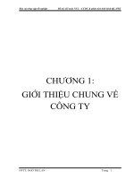 BÁO CÁO KẾ TOÁN THỰC TẬP TẠI CÔNG TY CỔ PHẦN ĐẦU TƯ PHÁT TRIỂN XÂY DỰNG – BÊ TÔNG.