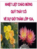 sinh học 12 bài 18. chọn giống vật nuôi và cây trồng dựa trên nguồn biến dị tổ hợp