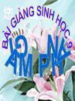 thuyết trình sinh học - giảm phân (2)