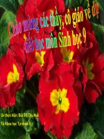 thuyết trình sinh học - sử dụng hợp lí tài nguyên thiên nhiên