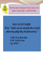 Nghiên cứu sản xuất phân hữu cơ từ phế phẩm nông nghiệp bằng chế phẩm sinh học